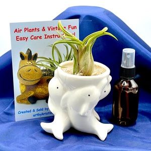 DOLPHINS Planter Air Plant Set - Spanish Moss Fine Mist Sprayer FREE Air Plant